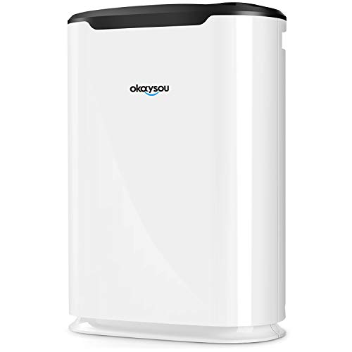 5. Okaysou AirMax8L Air Purifier