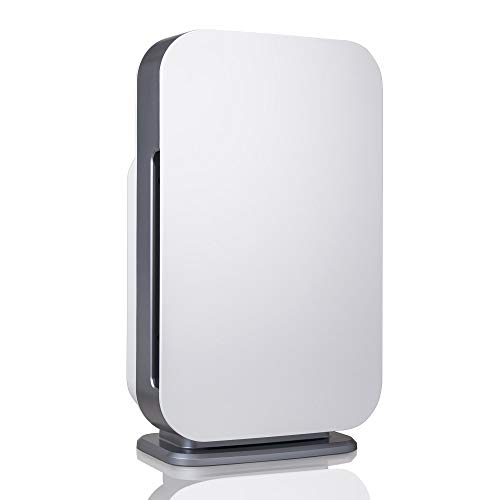 4.  Alen FLEX Air Purifier